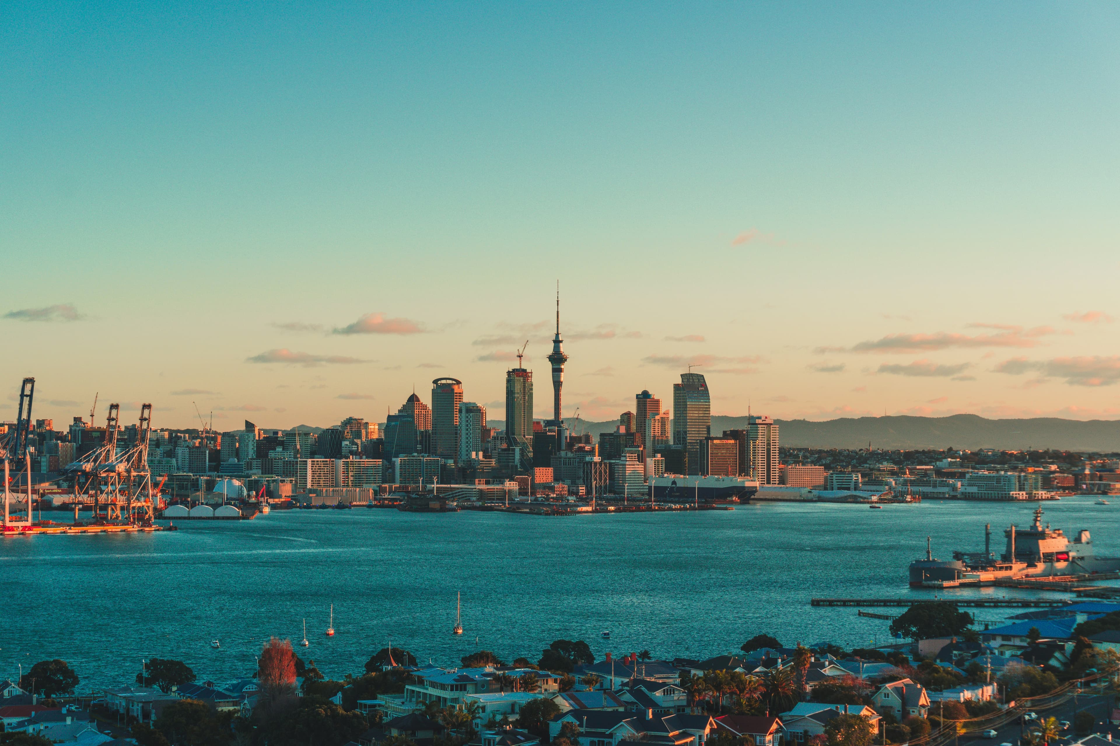 Best Dog-Friendly Cafes in Auckland 2026