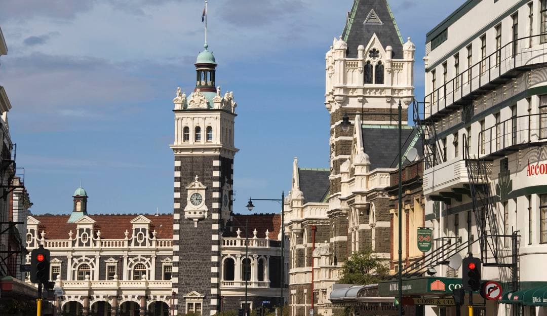 Dunedin โ dog-friendly spots