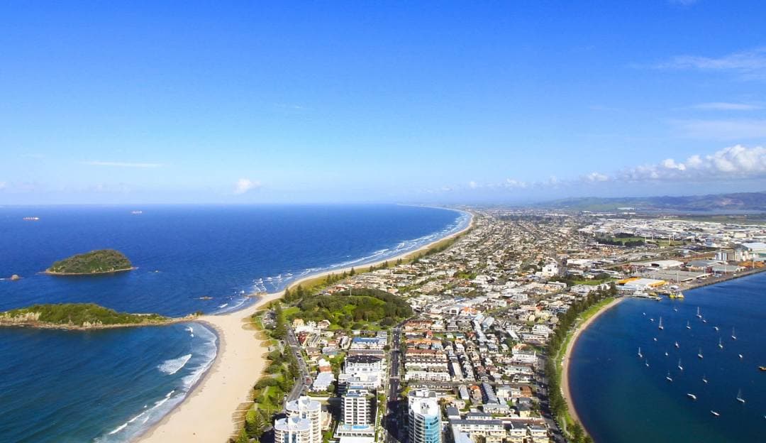 Tauranga โ dog-friendly spots