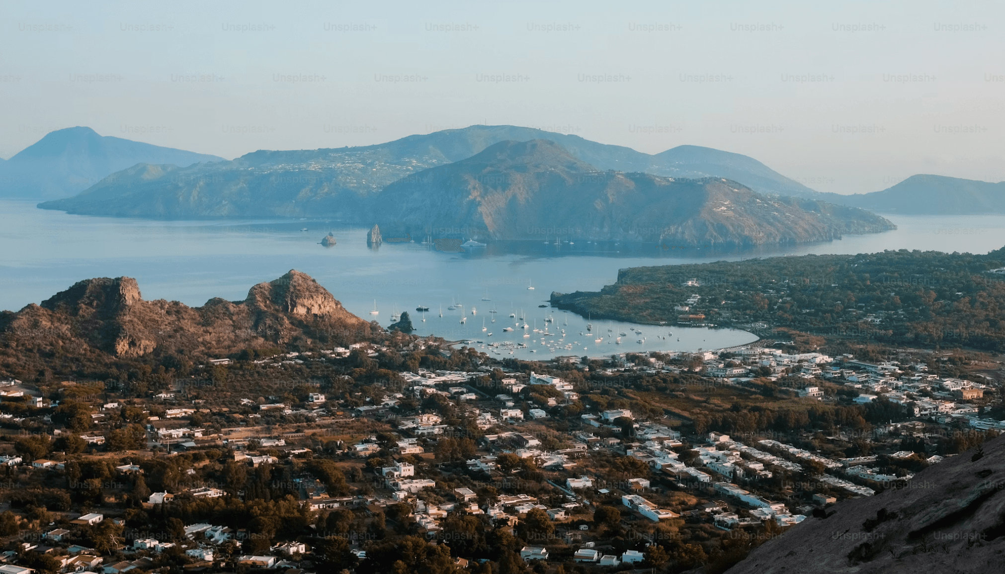 Wellington โ dog-friendly spots